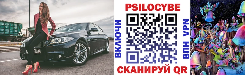Псилоцибиновые грибы мицелий  хочу   Шенкурск 